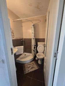a small bathroom with a toilet and a sink at Vila Mihnea in Moieciu de Jos +12 photos