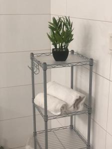 a shelf with a plant on it in a bathroom at Luxury 3BR Villa Belair in Philipsburg +28 photos