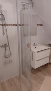 a bathroom with a shower and a sink at Agroturystyka Pod Jesionami in Lądek-Zdrój