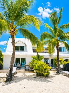 a house on the beach with two palm trees at Studio Coconut in Baie Nettle