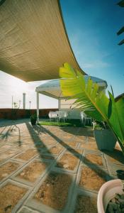 a patio with a table and chairs and a plant at Mirage B&B in Alezio
