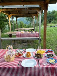 a picnic table with plates of food on it at Strofka in Maliq