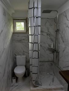 a bathroom with a toilet and a shower at FoxHome in Khashchovanoye
