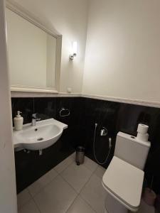 a bathroom with a sink and a toilet and a mirror at Historical space in Lviv
