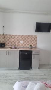 a kitchen with a sink and a dishwasher at Garsoniera Adriana in Mangalia