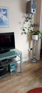 a living room with a tv and a table with a plant at Comfortable Double Bedroom in Darlington