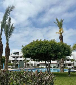 a resort with palm trees and a swimming pool at Blue Horizon in Cabo Negro +15 photos