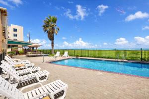 a swimming pool with lounge chairs and a palm tree at Palms Resort & Cafe on the Beach in South Padre Island