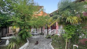 a cat sitting on a stone path in front of a house at Ararat in Ozurgetʼi