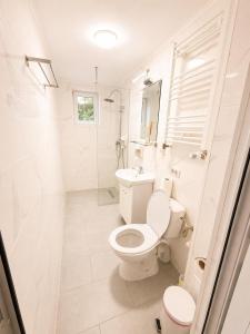 a white bathroom with a toilet and a shower at Balea Events in Cîmpeni