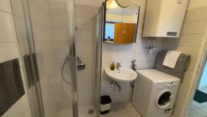 a bathroom with a shower and a sink and a washing machine at Alina in Graz