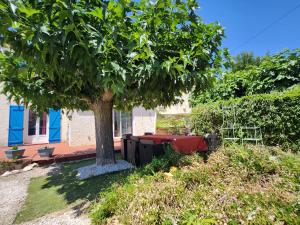 a tree in a yard next to a house at Le Ciel Bleu in Arles