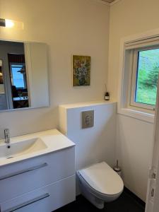 a bathroom with a toilet and a sink and a mirror at Unique and isolated cottage with stunning views in Leynar +38 photos