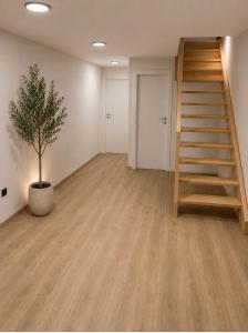 an empty room with a staircase and a potted plant at Rooms Aura Kanal in Kanal +1 photo