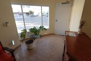 an office hallway with potted plants and an open door at El Retorno Hostel in Puerto Madryn +13 photos