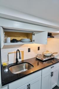 a kitchen with a sink and a counter top at Joynest Nest - Private Entry & Bath in Newark