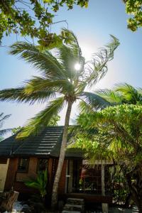 a palm tree in front of a house at Green Lodge Moorea in Teavaro