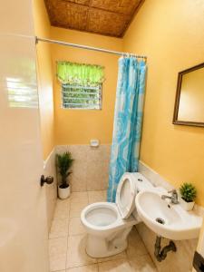a bathroom with a toilet and a sink at Argana Cottages in Dauin +11 photos