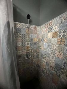 a bathroom with a shower with mosaic tiles on the wall at Rio II in Zrenjanin +5 photos