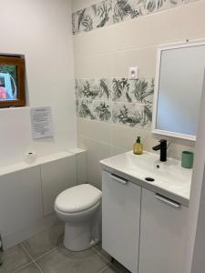 a white bathroom with a toilet and a sink at L'erable in Montlay-en-Auxois +11 photos