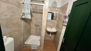 a bathroom with a shower and a sink at Fogadó a Kóbor Macskához in Kőszeg
