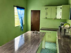 a kitchen with green walls and a counter with a sink at Argana Cottages in Dauin
