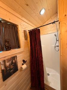 a bathroom with a tub and a shower curtain at Big Bear Log cabin in Cosby