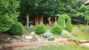 a garden with bushes and flowers in front of a house at Bella House in Sarajevo