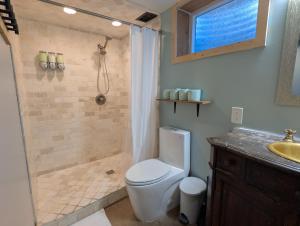 a bathroom with a shower and a toilet and a sink at Denver Oasis 5BR Home with Hot Tub, Sleeps 16 in Denver +13 photos