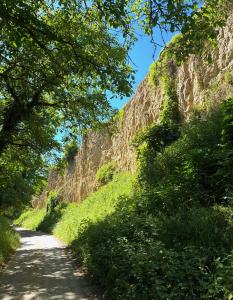 a dirt road with trees on the side of a mountain at Riverside Furth in Furth