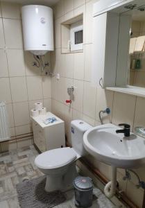 a bathroom with a toilet and a sink at Gorica-Bistrica - seosko domaćinstvo kod Banje Ždrelo in Bistrica +57 photos