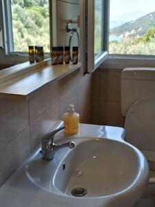 a bathroom sink with a soap bottle on it at Ilios in Pogoniá