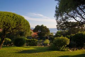 a yard with trees and bushes and the ocean at Appartamento Aldiola in Porto Rotondo