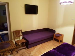ウストロンにあるPokoje Na Skalicyのリビングルーム(紫色のソファ、テレビ付)