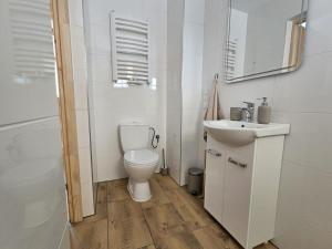 a white bathroom with a toilet and a sink at Tatrzańska Osada 2 - Domki przy stoku narciarskim w Białce Tatrzańskiej in Białka Tatrzańska