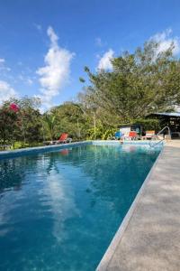 a large swimming pool with blue water at Brisas Griegas in Quepos