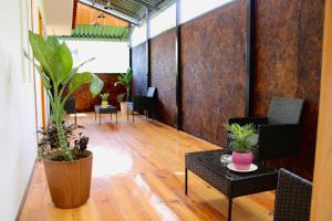 a living room with plants and a table and chairs at Luffa Hostel in Santa Lucía