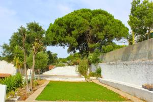 a yard with a retaining wall and a tree at Casa do Castelo - Calm & lovely 2-bedroom Apt Near the Beach in Sesimbra