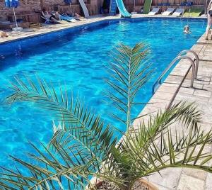 a blue swimming pool with a palm tree in the foreground at Apartment N.1 in Nov Dojran