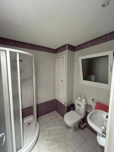 a bathroom with a toilet and a shower and a sink at Cozy One Bedroom Apartment in Nabeul
