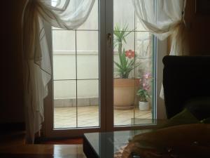 Fotografie z fotogalerie ubytování Apartment Splendid v destinaci Bol