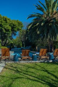 a group of chairs sitting next to a palm tree at theLAB BLUE in Franschhoek