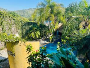 a resort with a swimming pool and palm trees at Hotel Camino Surreal Xilitla in Xilitla