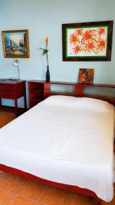 a bed in a room with a white bedspread at Casa Amarilla Caribbean Stay in Puerto Limón
