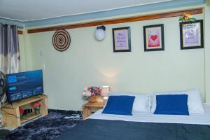 a bedroom with a bed with blue pillows and a television at Shan in Jinja