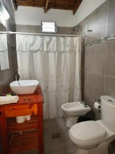 a bathroom with a sink and a toilet and a shower at Cabañas 2TIERRAS in Chicoana +12 photos