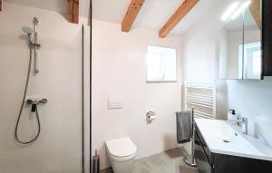 a bathroom with a shower and a toilet and a sink at Amazing Home In Lanisce in Lanišće