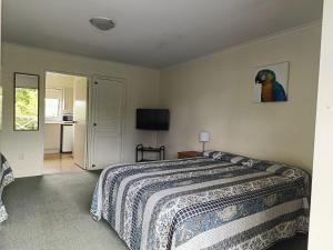 a bedroom with a bed and a table and a television at Raceway Motel in Christchurch +5 photos