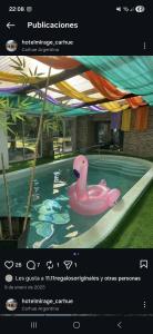 a picture of a pink swan in a swimming pool at Hotel Mirage Spa in Carhué