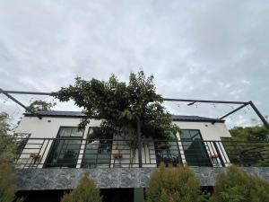 a white house with a tree on the balcony at พิงภู ไทรโยค in Ban Lum Sum (1) +2 photos